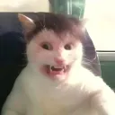 dxrk.fx