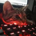 kittyswithmittens