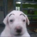 avatar cooper ✪