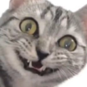 christochri