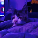 floppertv2