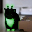 avatar ☌⋏⏃⍀⌿ ⏚⟒⟒⌿ ⋉⟟⋔⏚⌰⟒ ⏚⌰⍜⍀⌿