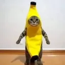 bananaramam avatar