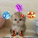 .jarjeer