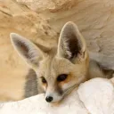 taurusmoonbby