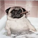 Аватар why.mexdd