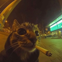 avatar 𝓒𝓸𝓯𝓯𝓮𝓱_𝓑𝓮𝓪𝓷