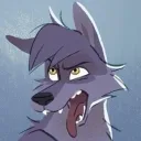 jacobthestraydog