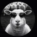 moon_sheepp