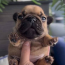 avatar bestofnigeria