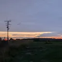 .polski