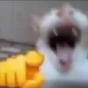 ben_yokim