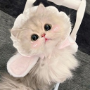 avatar 𝑀𝑎𝑑𝑑𝑖𝑒 🎀