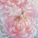 avatar 𓏵﹕noonie. 𓊔