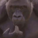 avatar Fomal (comms open)