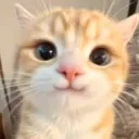 mraryan_yanyan