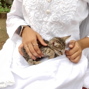 avatar cinderella 🔸