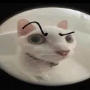 themoreexperiencedsquid