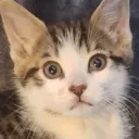 l0f3 avatar
