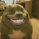 kermitmyfrog