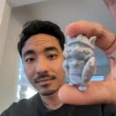 thangsdan