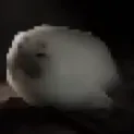 cringe_platinum4