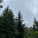 canada.boi