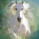 shadowfax2483