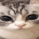 mr._sad