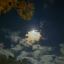 liam_jakobi01