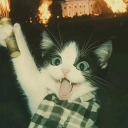 avatar Gappuuu