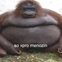 77sampaio