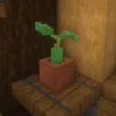 casual_lurker_20_05