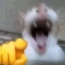 the_shadowzyt