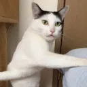 lecroderg