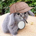 avatar Détective Chapin