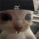 novwoops
