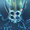 b_onko