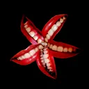 stardotsmile