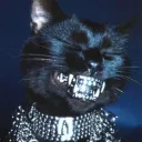 MKFujinn's Avatar