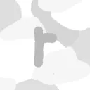 roll_1
