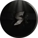 s_kp