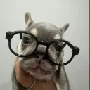 zacgamerthree22 avatar