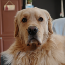 avatar 🍡₊˚.༄ 𝓜𝒾𝓷𝒶 ༉‧₊˚🍡