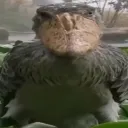 midightbloodmoon avatar