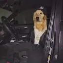 trix_master