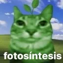 diegusky. avatar