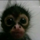 avatar Ancient gooner