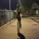 avatar 𝐋𝐢𝐥𝐨𝐮