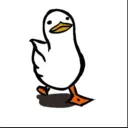 lazy.pigeon